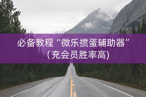 必备教程“微乐掼蛋辅助器”（充会员胜率高)