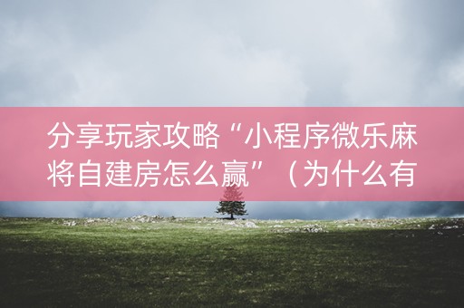 分享玩家攻略“小程序微乐麻将自建房怎么赢”（为什么有人一直赢)