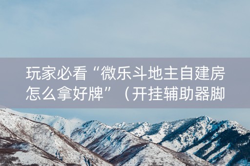 玩家必看“微乐斗地主自建房怎么拿好牌”（开挂辅助器脚本)