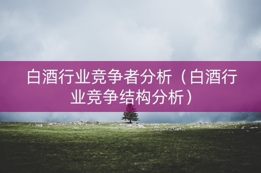 白酒行业竞争者分析（白酒行业竞争结构分析）