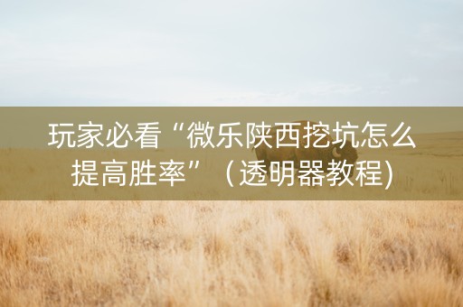 玩家必看“微乐陕西挖坑怎么提高胜率”（透明器教程)