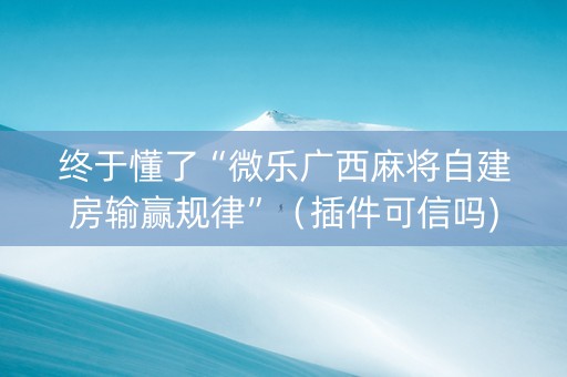 终于懂了“微乐广西麻将自建房输赢规律”（插件可信吗)