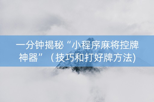一分钟揭秘“小程序麻将控牌神器”（技巧和打好牌方法)