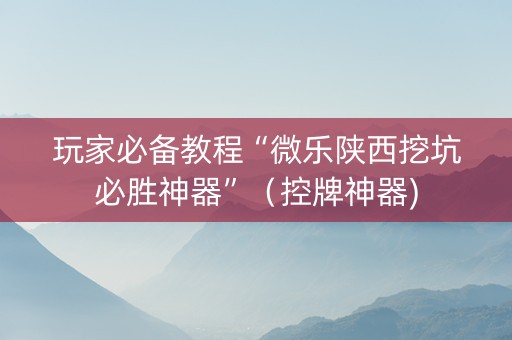 玩家必备教程“微乐陕西挖坑必胜神器”（控牌神器)