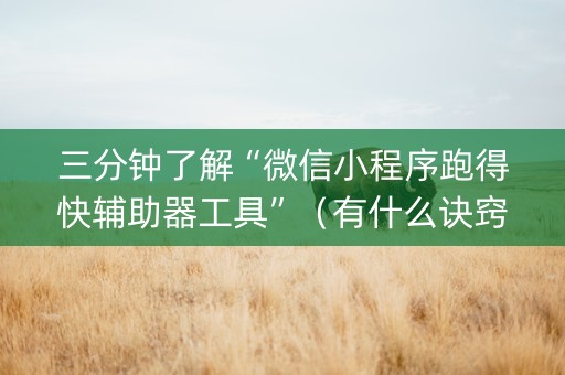 三分钟了解“微信小程序跑得快辅助器工具”（有什么诀窍)