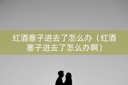 红酒塞子进去了怎么办（红酒塞子进去了怎么办啊）