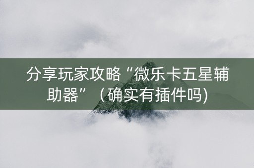 分享玩家攻略“微乐卡五星辅助器”（确实有插件吗)