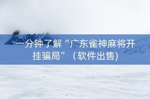 一分钟了解“广东雀神麻将开挂骗局”（软件出售)