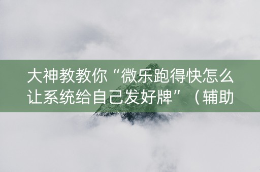 大神教教你“微乐跑得快怎么让系统给自己发好牌”（辅助器下载)