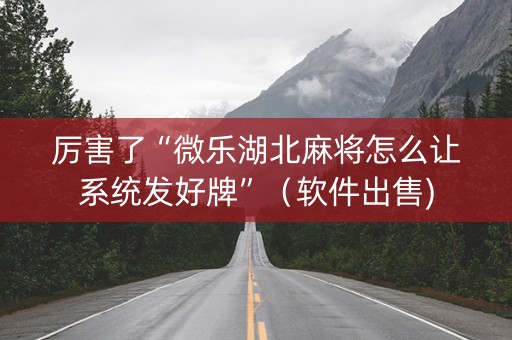 厉害了“微乐湖北麻将怎么让系统发好牌”（软件出售)