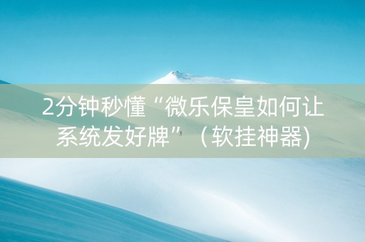 2分钟秒懂“微乐保皇如何让系统发好牌”（软挂神器)
