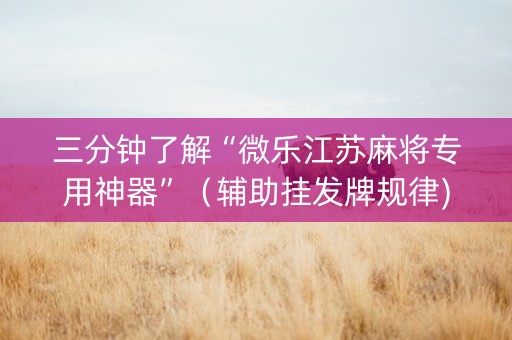 三分钟了解“微乐江苏麻将专用神器”（辅助挂发牌规律)