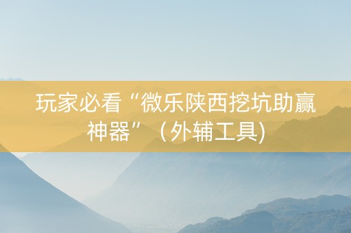 玩家必看“微乐陕西挖坑助赢神器”（外辅工具)
