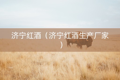 济宁红酒（济宁红酒生产厂家）