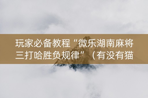 玩家必备教程“微乐湖南麻将三打哈胜负规律”（有没有猫腻)