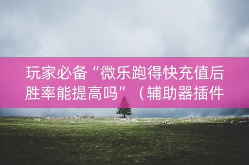 玩家必备“微乐跑得快充值后胜率能提高吗”（辅助器插件)