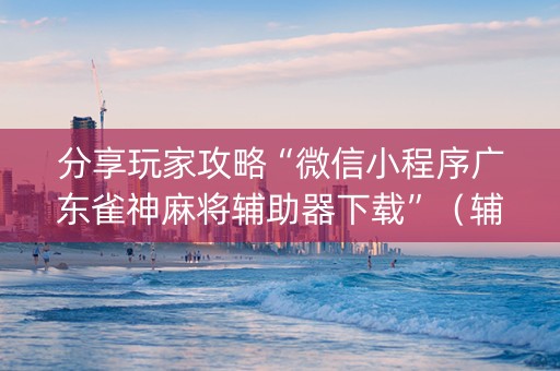 分享玩家攻略“微信小程序广东雀神麻将辅助器下载”（辅助器通用版)