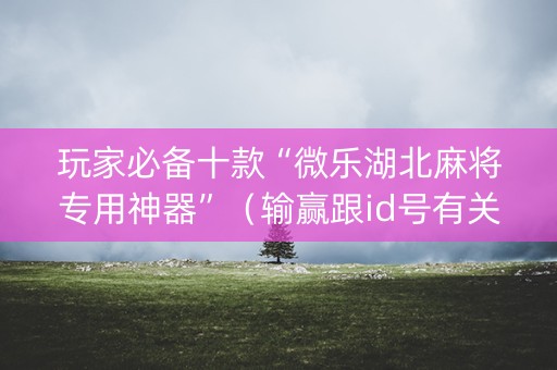 玩家必备十款“微乐湖北麻将专用神器”（输赢跟id号有关系吗)