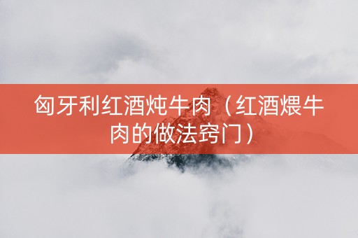 匈牙利红酒炖牛肉（红酒煨牛肉的做法窍门）