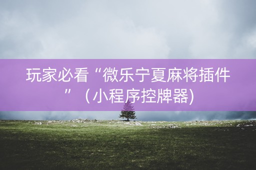 玩家必看“微乐宁夏麻将插件”（小程序控牌器)