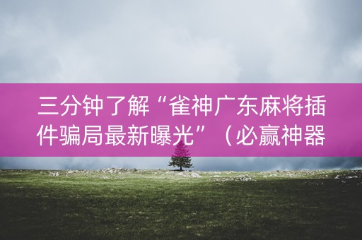 三分钟了解“雀神广东麻将插件骗局最新曝光”（必赢神器辅助器)