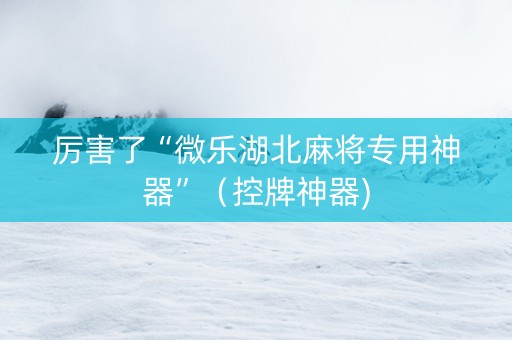 厉害了“微乐湖北麻将专用神器”（控牌神器)