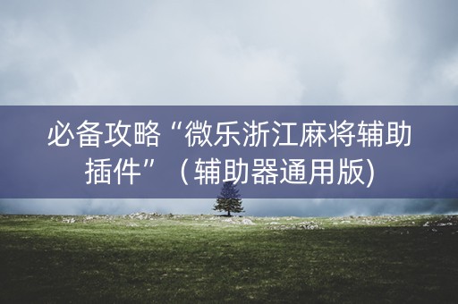 必备攻略“微乐浙江麻将辅助插件”（辅助器通用版)