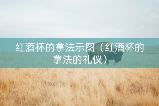 红酒杯的拿法示图（红酒杯的拿法的礼仪）