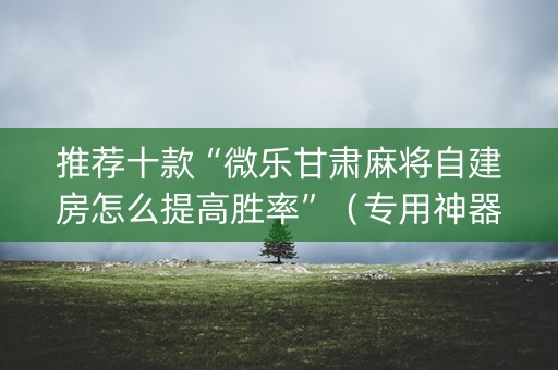 推荐十款“微乐甘肃麻将自建房怎么提高胜率”（专用神器)