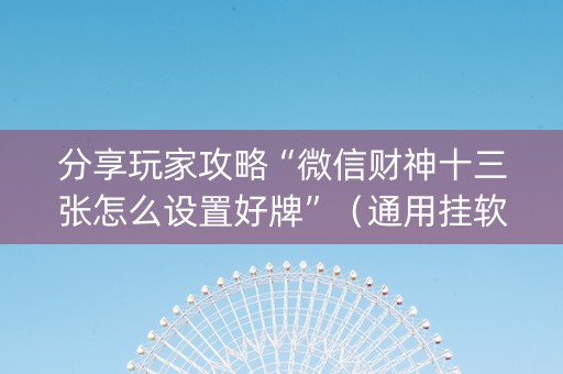 分享玩家攻略“微信财神十三张怎么设置好牌”（通用挂软件多少钱)