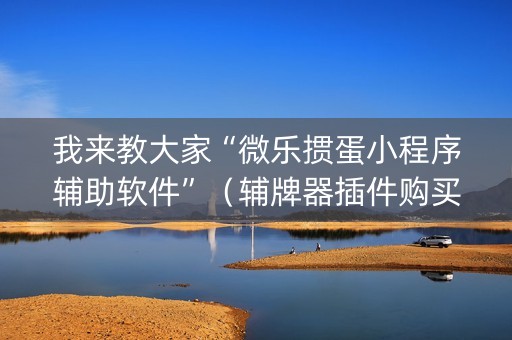 我来教大家“微乐掼蛋小程序辅助软件”（辅牌器插件购买)
