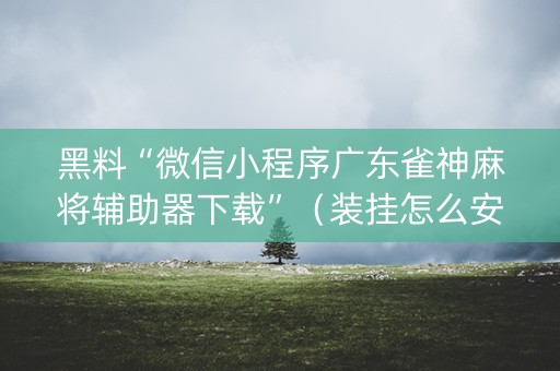 黑料“微信小程序广东雀神麻将辅助器下载”（装挂怎么安装)