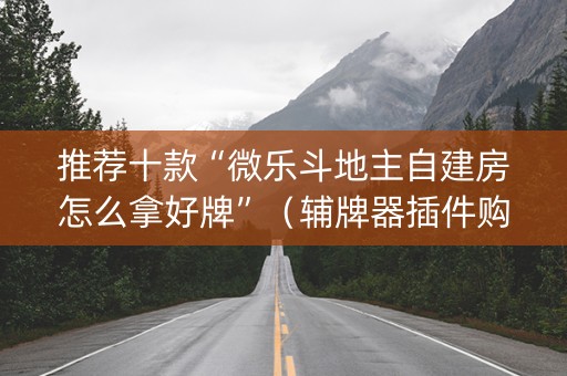 推荐十款“微乐斗地主自建房怎么拿好牌”（辅牌器插件购买)