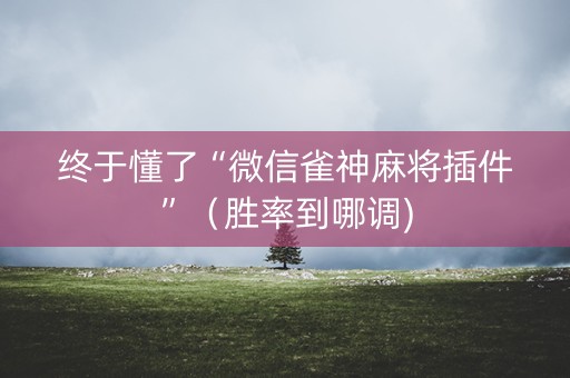 终于懂了“微信雀神麻将插件”（胜率到哪调)