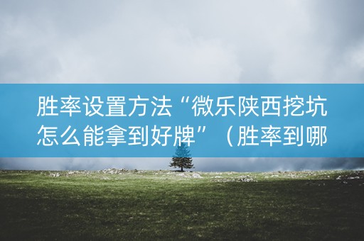 胜率设置方法“微乐陕西挖坑怎么能拿到好牌”（胜率到哪调)