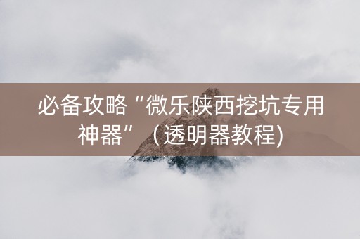 必备攻略“微乐陕西挖坑专用神器”（透明器教程)