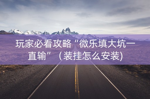 玩家必看攻略“微乐填大坑一直输”（装挂怎么安装)