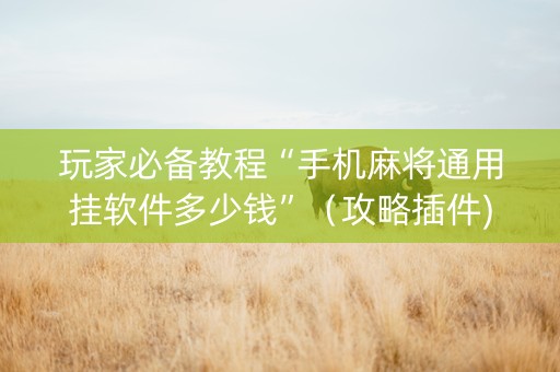 玩家必备教程“手机麻将通用挂软件多少钱”（攻略插件)