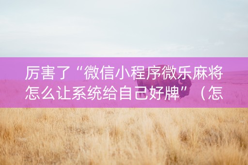 厉害了“微信小程序微乐麻将怎么让系统给自己好牌”（怎么能得到好牌)