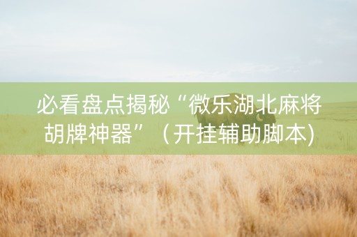 必看盘点揭秘“微乐湖北麻将胡牌神器”（开挂辅助脚本)