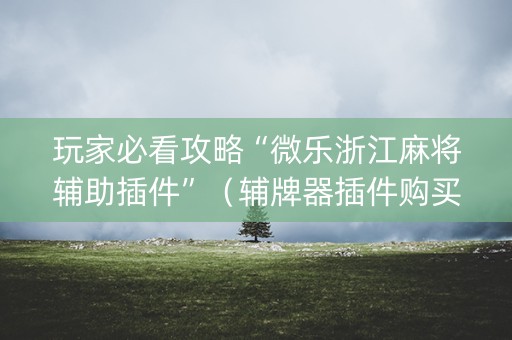 玩家必看攻略“微乐浙江麻将辅助插件”（辅牌器插件购买)
