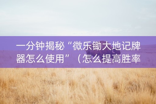 一分钟揭秘“微乐锄大地记牌器怎么使用”（怎么提高胜率)