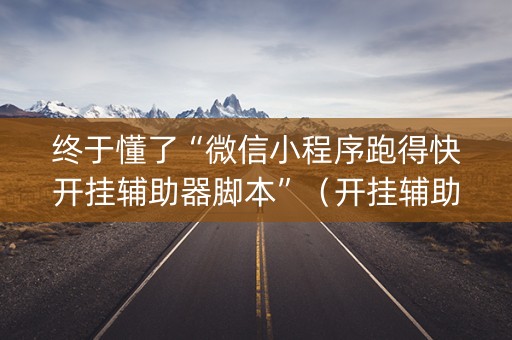 终于懂了“微信小程序跑得快开挂辅助器脚本”（开挂辅助器插件)