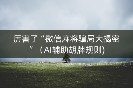 厉害了“微信麻将骗局大揭密”（AI辅助胡牌规则)