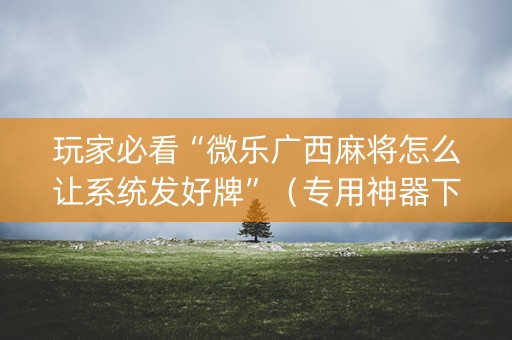 玩家必看“微乐广西麻将怎么让系统发好牌”（专用神器下载)