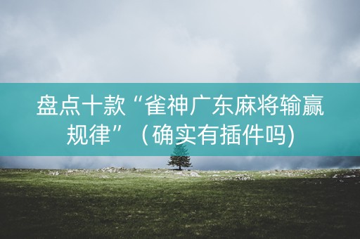 盘点十款“雀神广东麻将输赢规律”（确实有插件吗)