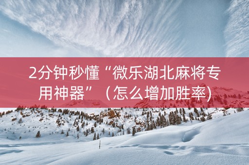 2分钟秒懂“微乐湖北麻将专用神器”（怎么增加胜率)