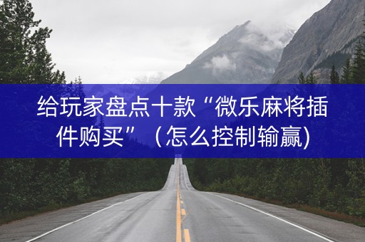 给玩家盘点十款“微乐麻将插件购买”（怎么控制输赢)