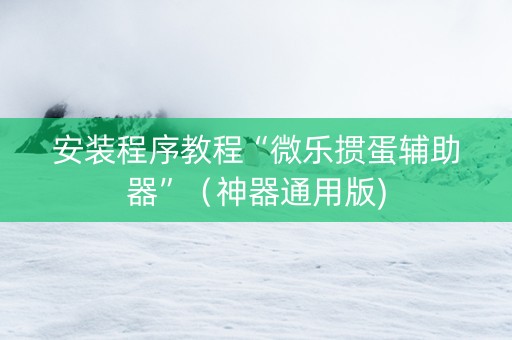 安装程序教程“微乐掼蛋辅助器”（神器通用版)