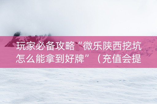玩家必备攻略“微乐陕西挖坑怎么能拿到好牌”（充值会提高胜率么)